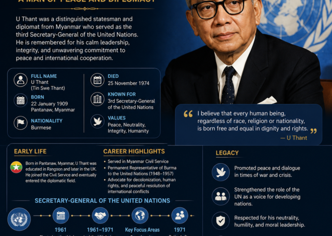 Tin Swe Thant: Biography, Career, Education, Family, and Public Life